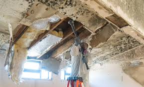 Best Residential Mold Inspection & Testing  in Santa Cruz, CA